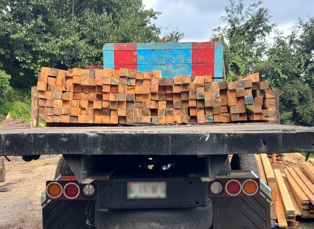 transporte transporte